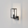 Cell Wall Lamp