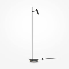 Black Floor Lamp Study