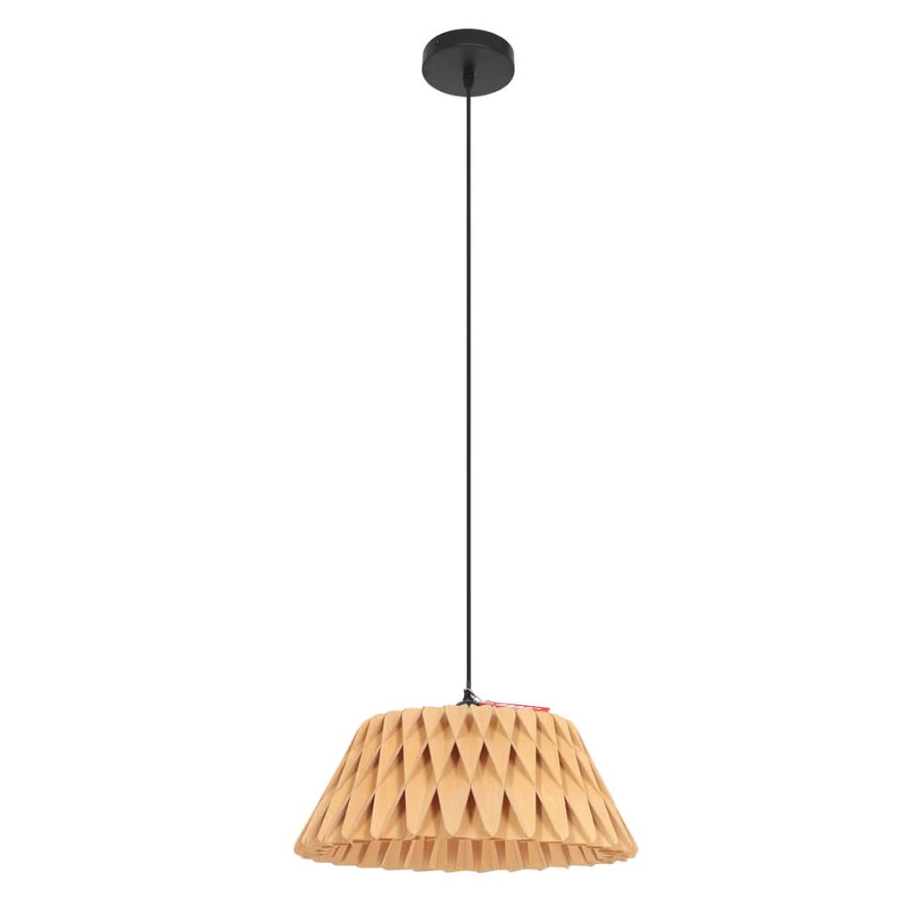Unique Designer Pendant Lamp
