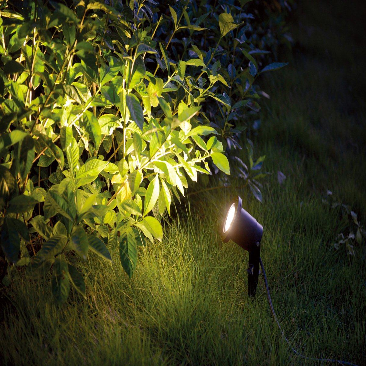 Luminaire d'extérieur Outdoor Lamps noir