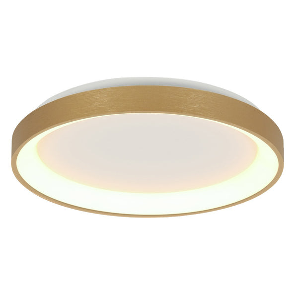 Gold Ringlede ceiling light