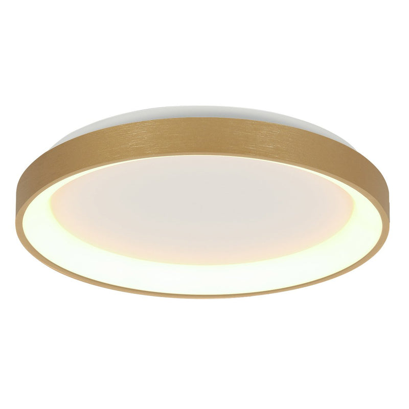 Gold Ringlede ceiling light