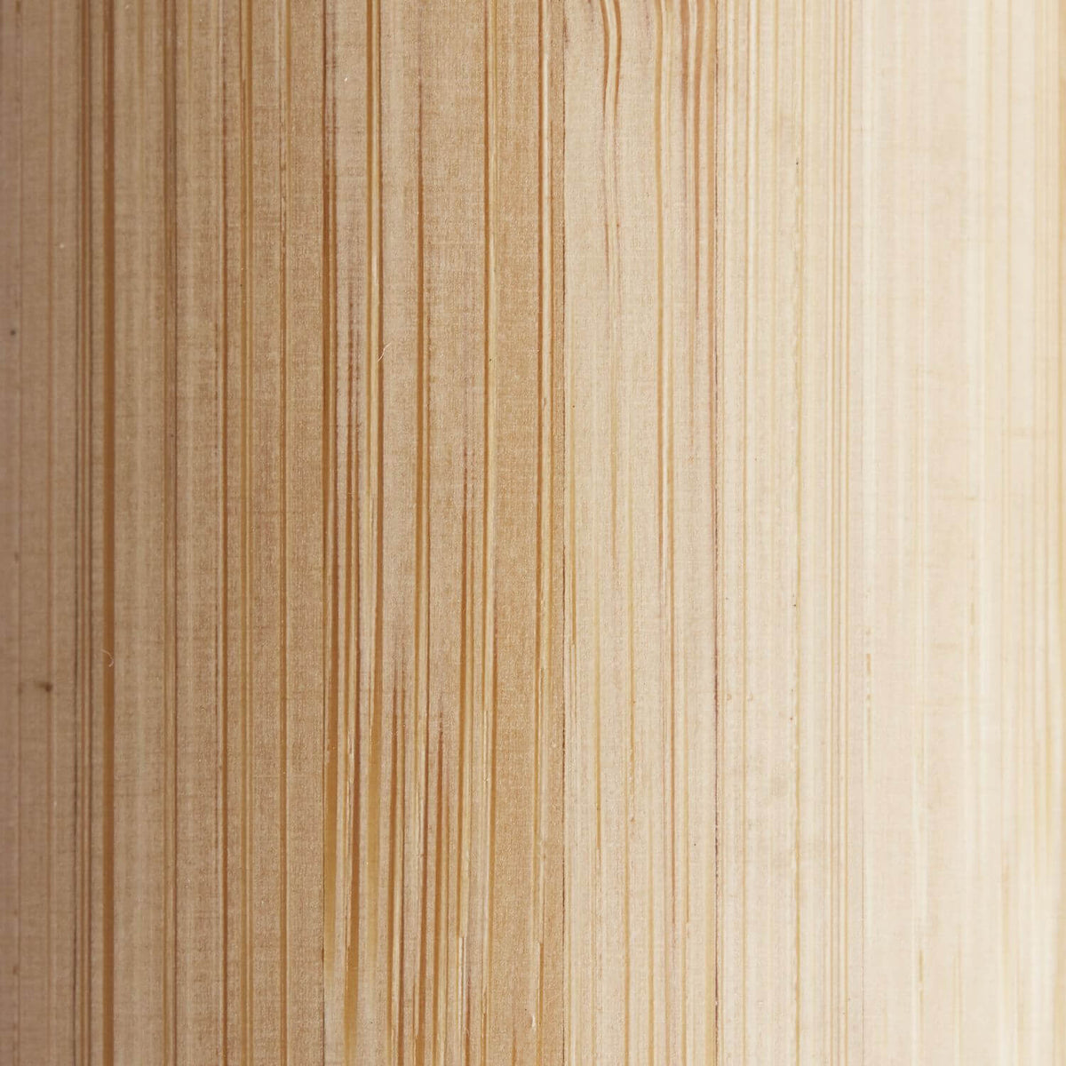 Gros plan sur la texture du bambou clair aux fines rayures verticales du fût.