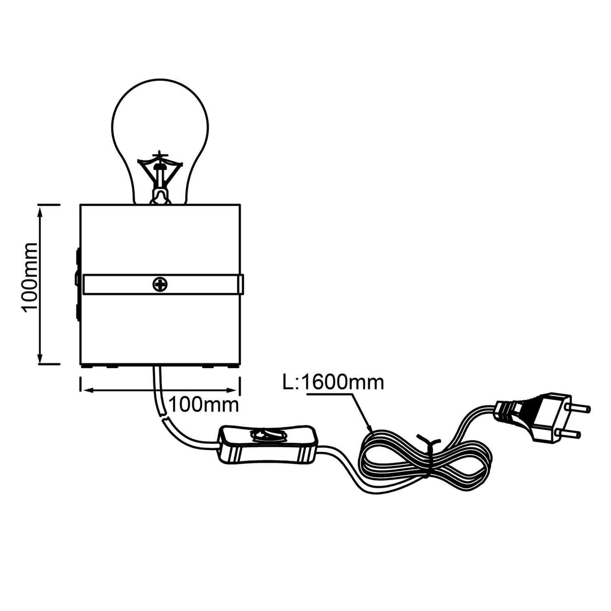 Schéma technique coté : bloc 100 mm, câble 1600 mm avec fiche.
