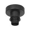 Bloeba black ceiling light