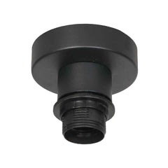 Bloeba black ceiling light