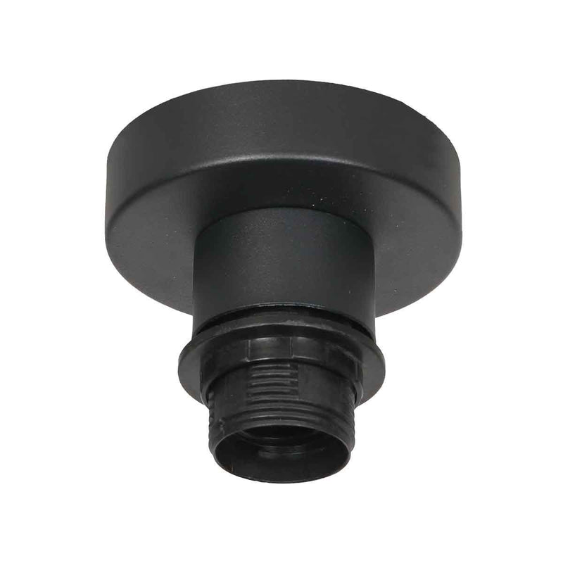 Bloeba black ceiling light