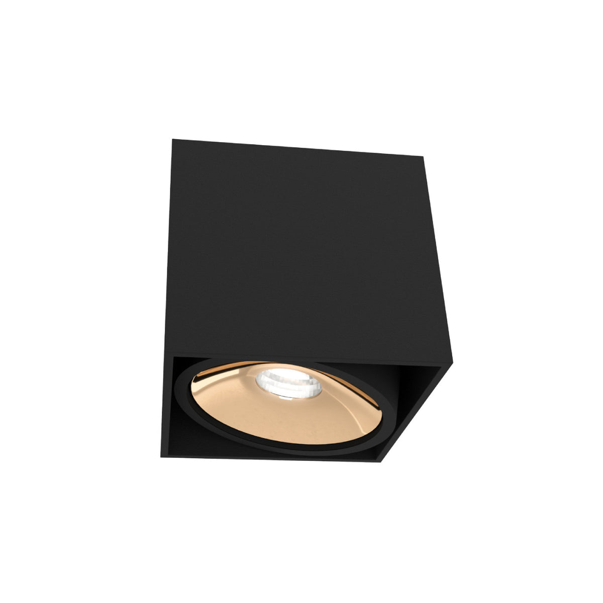 Spot plafond Cardi I
