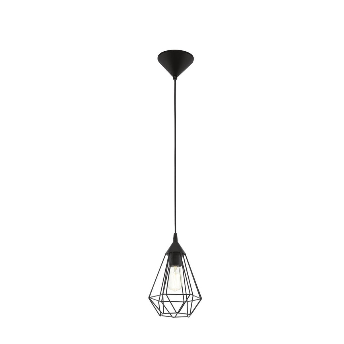 Vue de face de la suspension noire avec sa cage métallique et son ampoule.