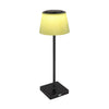 Lampe extérieure Gregoir noire mat (58434BP)
