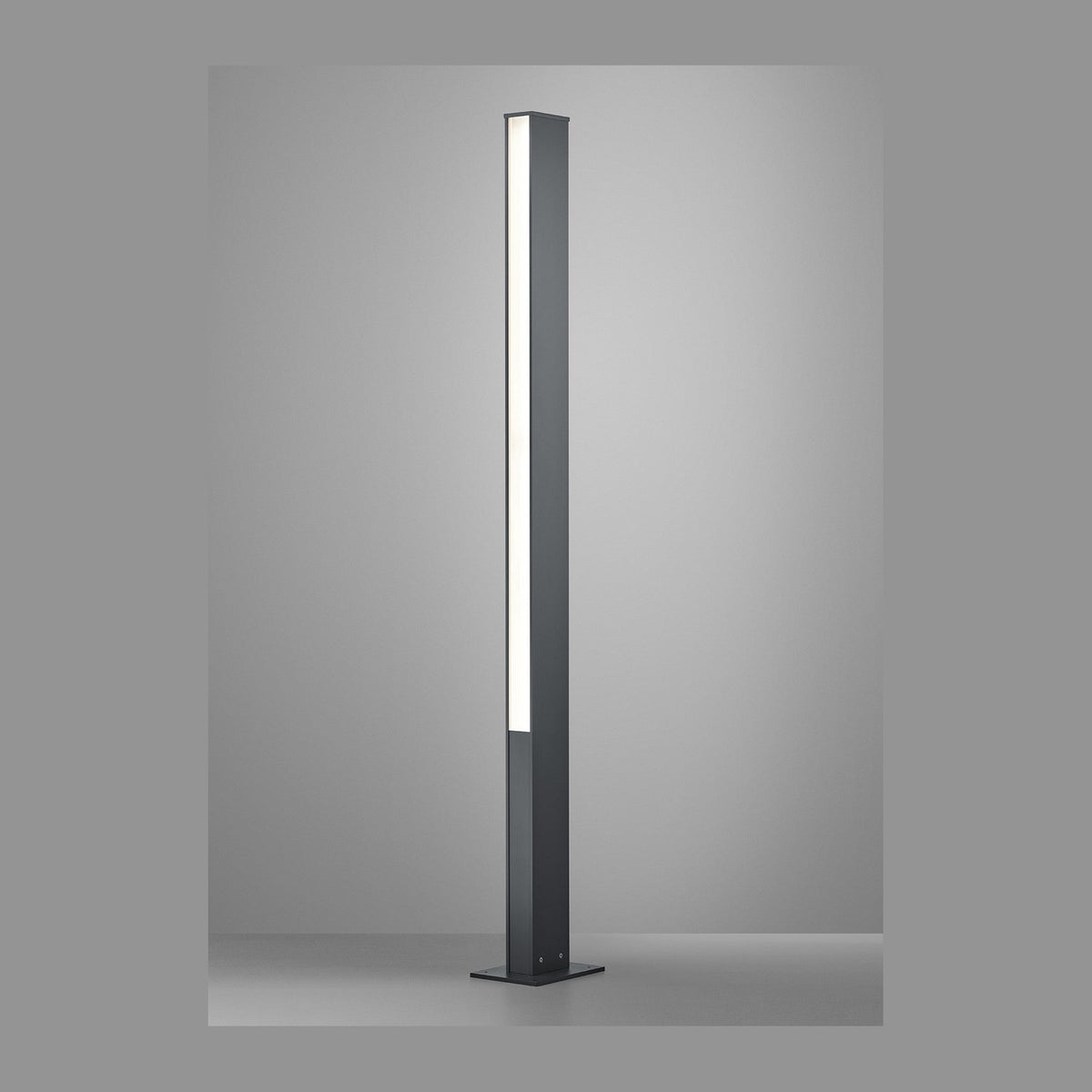 Borne lumineuse verticale anthracite, face avant avec diffuseur blanc, fond gris