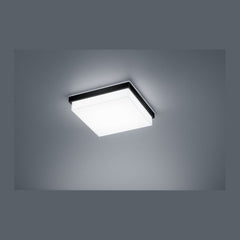 Plafonnier LED | Cosi Noir
