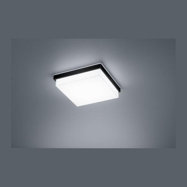 Plafonnier LED | Cosi Noir