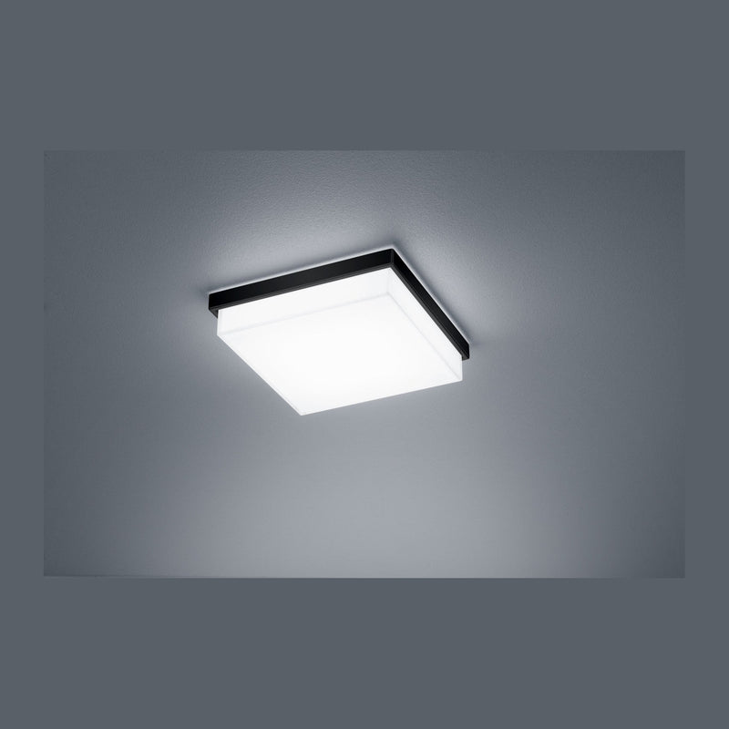 Plafonnier LED | Cosi Noir