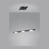 Suspension luminaire | Pole Noire