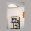Plafonnier LED | Unar Ø 49,5 cm