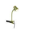Lampe de bureau | Pongo Verte