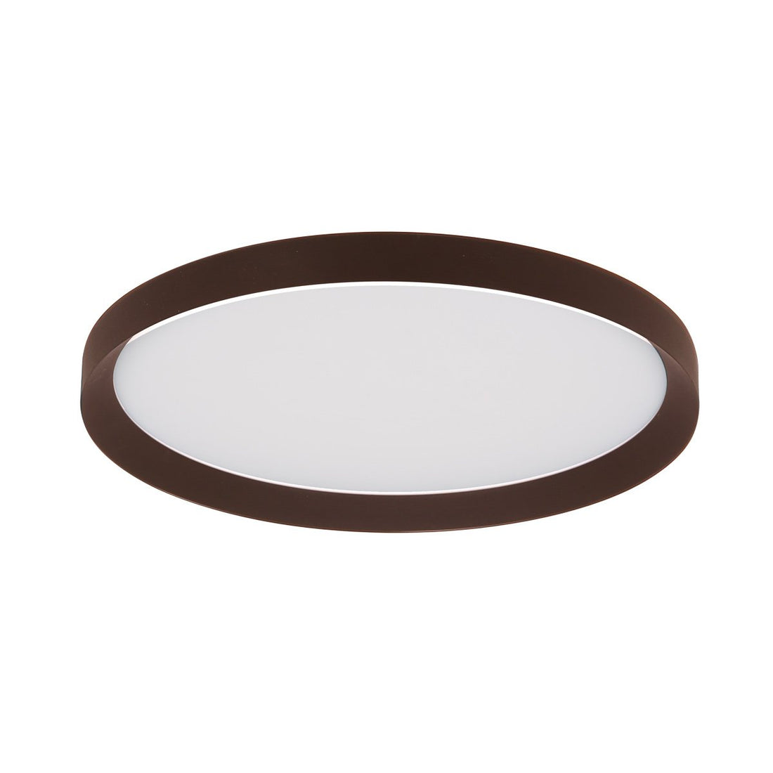 Flady Ceiling Light