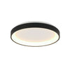 Black Ringlede ceiling light