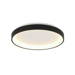 Black Ringlede ceiling light