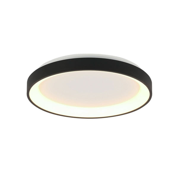Black Ringlede ceiling light