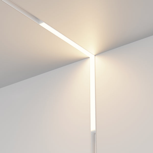 Basis Angle White Spot