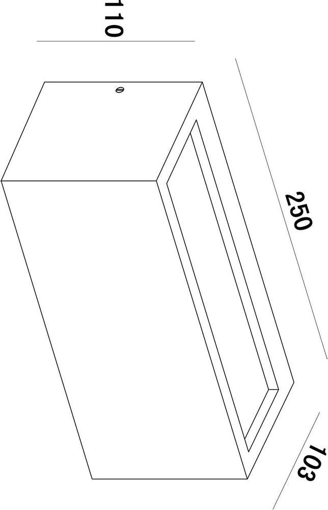 Schéma technique côté : largeur 110 mm, longueur 250 mm et profondeur 103 mm.