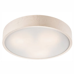 Luminaire plafonnier | Brimora