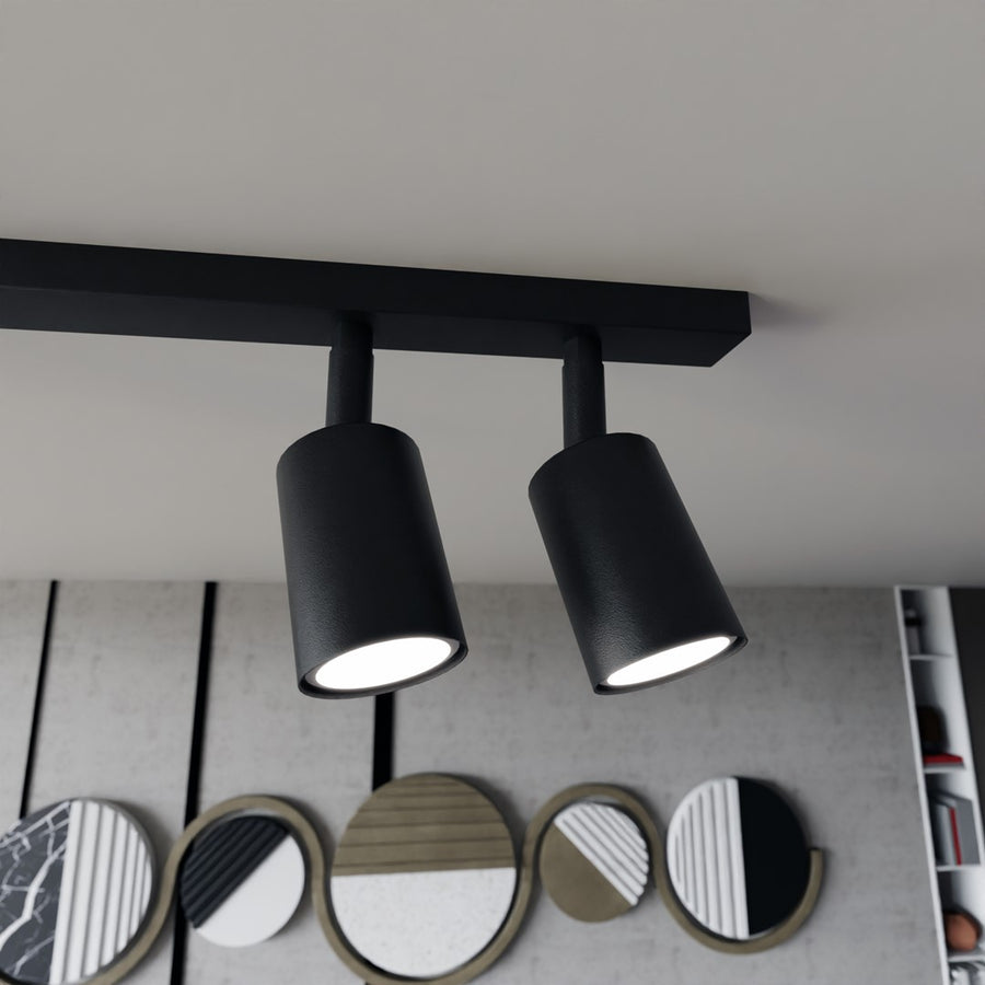 Détail de deux têtes cylindriques noires et de leur embase rectangulaire fixée au plafond.