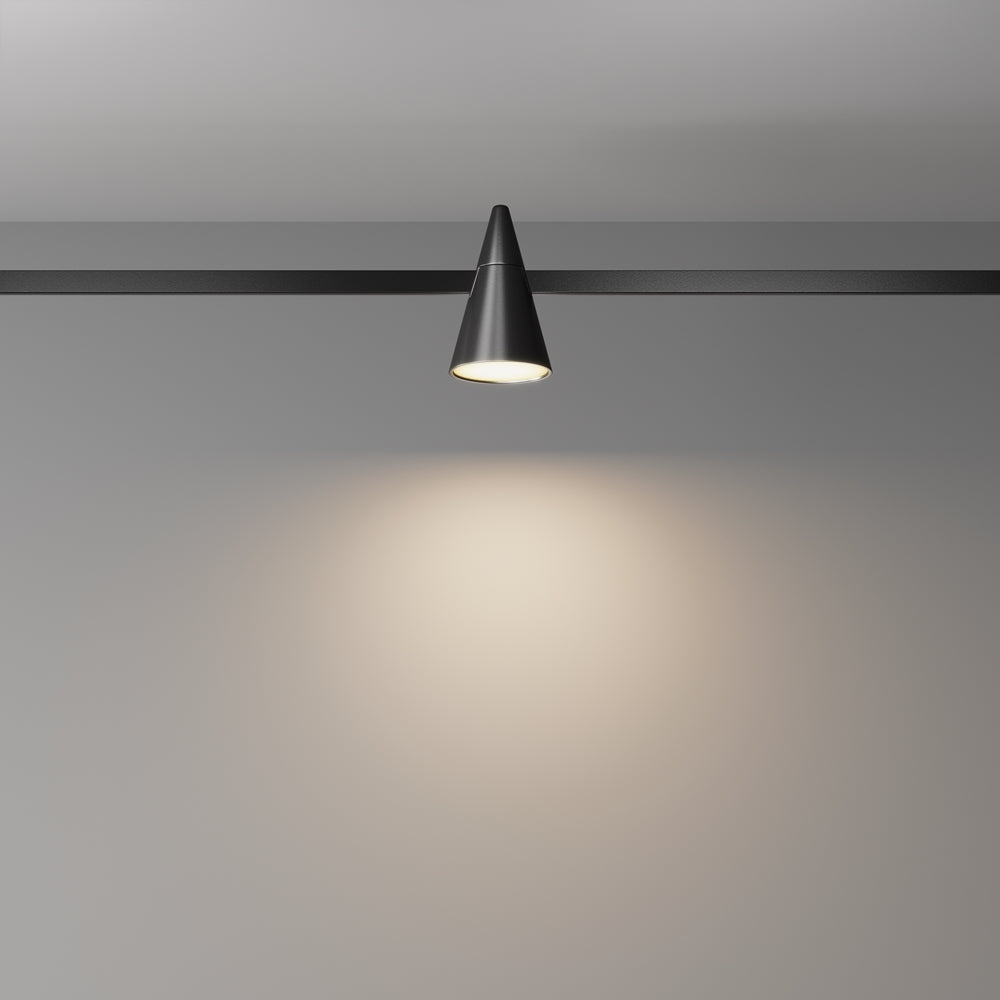 Keila Spot noir