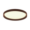 Flady Ceiling Light