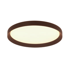 Flady Ceiling Light