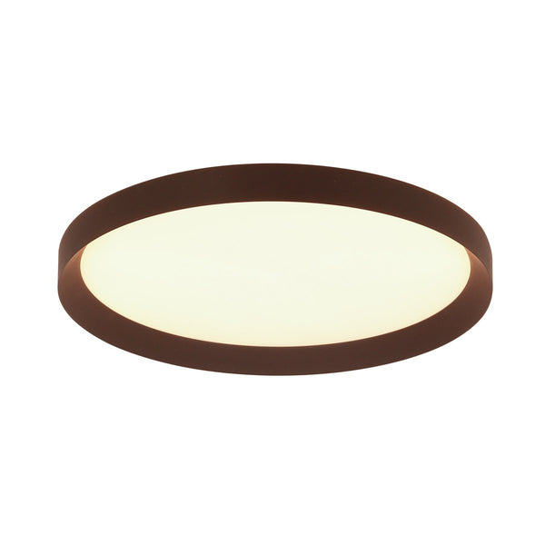 Flady Ceiling Light