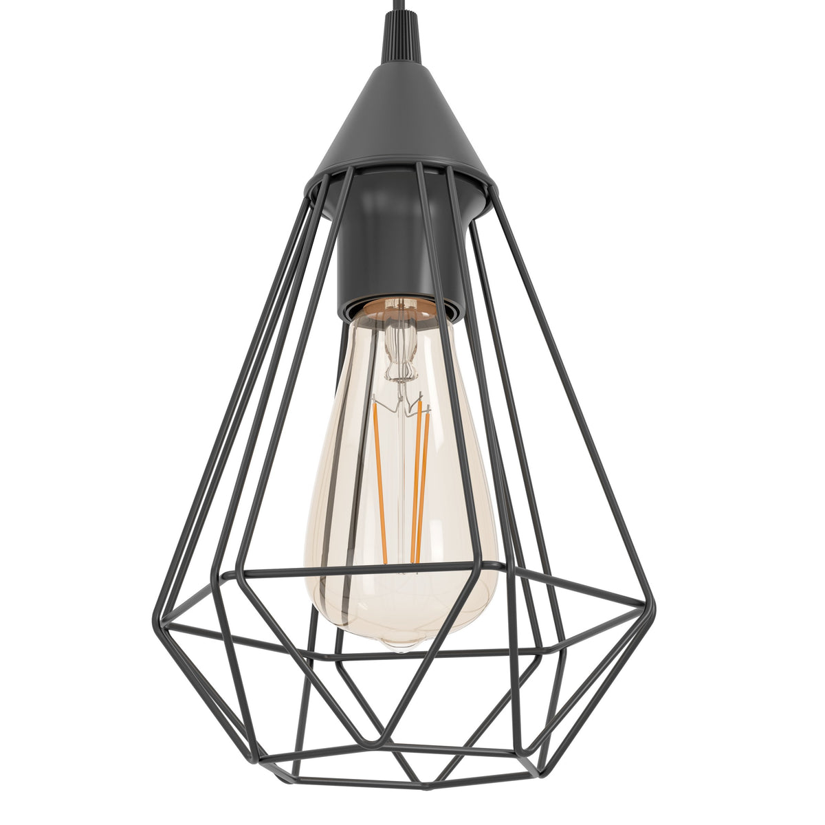 Détail rapproché de la cage métallique noire et de l'ampoule à filament.