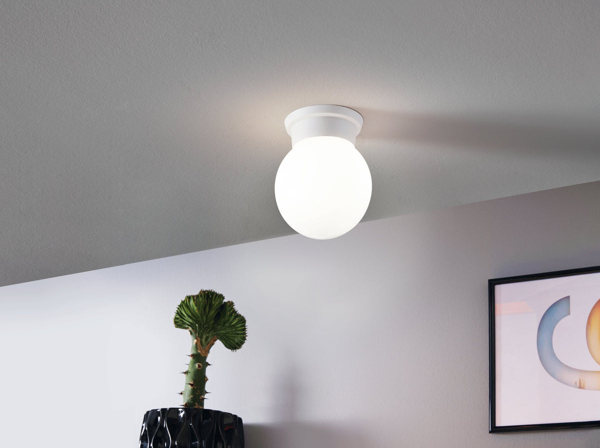 Mise en ambiance au plafond dans un intérieur avec cactus en pot et cadre