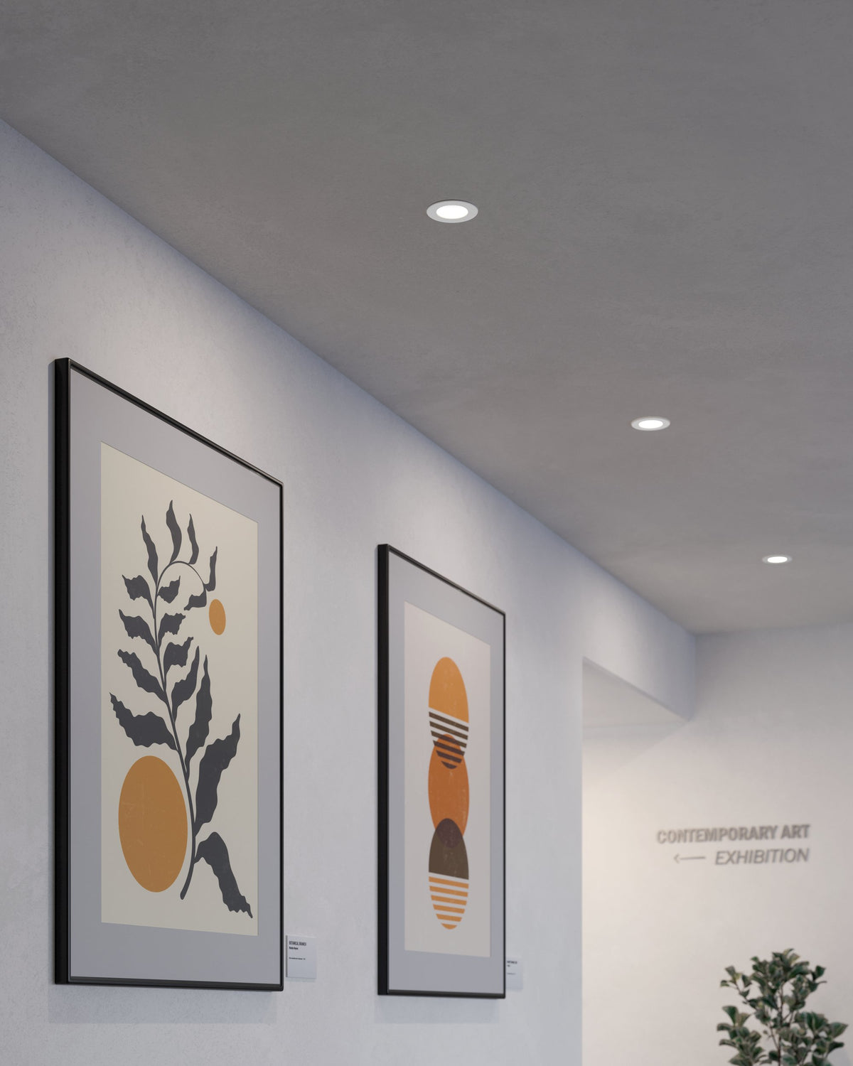 Ambiance galerie d'art, plafond blanc équipé de spots encastrés alignés