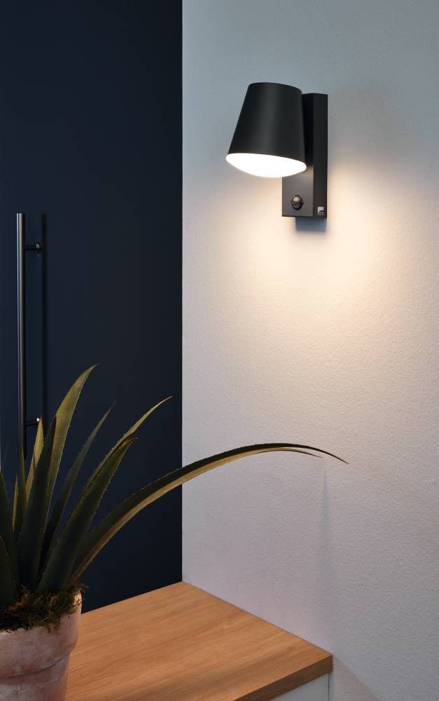 Mise en ambiance intérieure sur mur bicolore avec plante et meuble en bois.