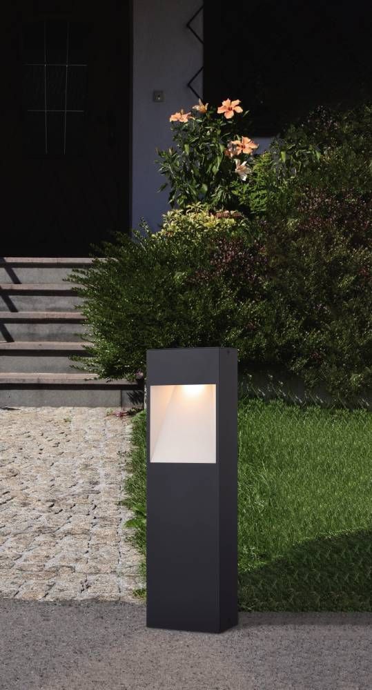 Mise en ambiance nocturne du luminaire au sol éclairant une allée en gravier et des plantes.