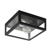 Luminaire plafonnier | Amezola Noir