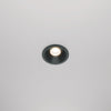 Black Spot Zoom