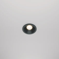 Black Spot Zoom