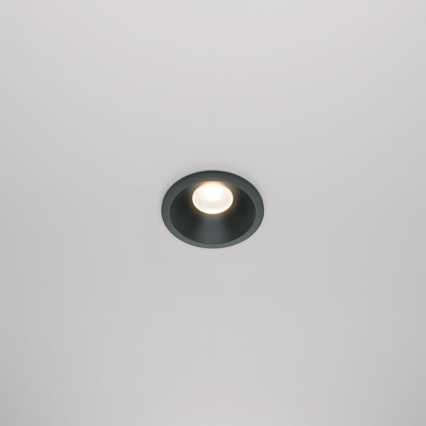 Black Spot Zoom