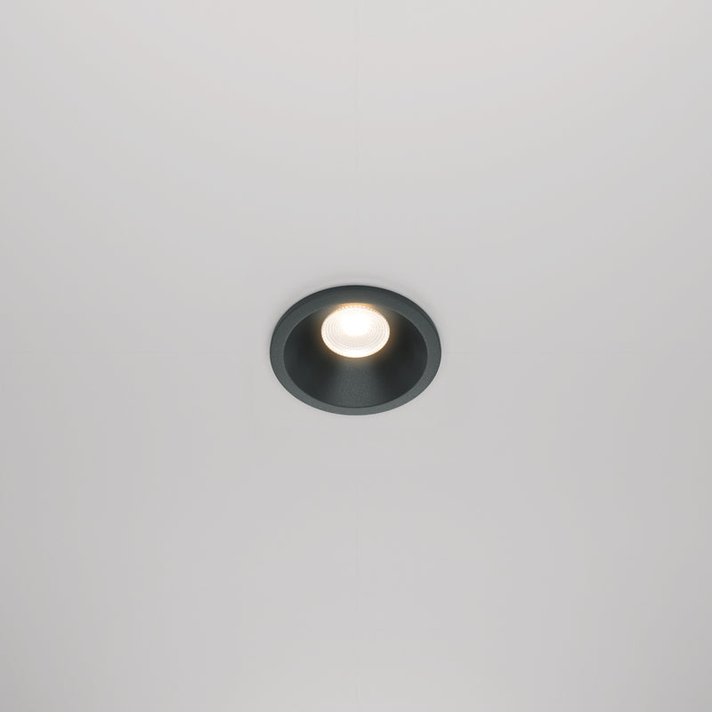 Black Spot Zoom