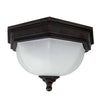 Luminaire extérieur | Fairford