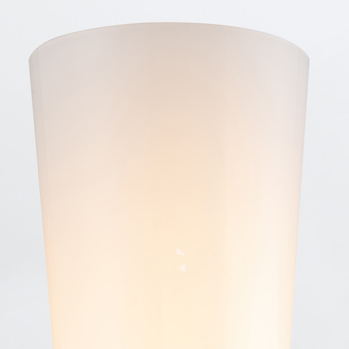 Détail du diffuseur en verre opalin légèrement dépoli