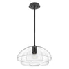 Suspension luminaire | Lotus Noire