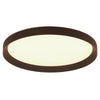 Flady Ceiling Light