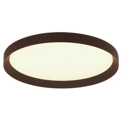 Flady Ceiling Light
