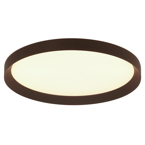 Flady Ceiling Light