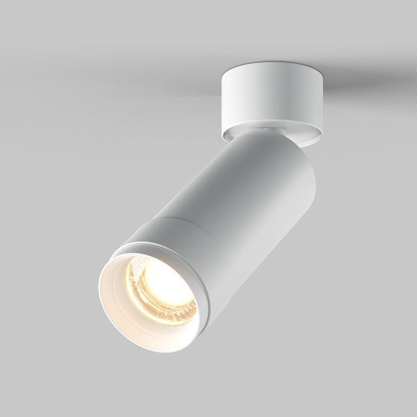 Focus Zoom White ceiling light